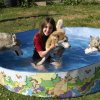 Les Liubov a la piscine