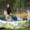 Les Liubov a la piscine