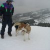 Les Liubov Sous La Neige 2010