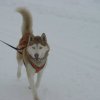 Les Liubov Sous La Neige 2010