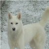 Les Liubov Sous La Neige 2010