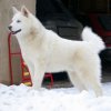 Les Liubov Sous La Neige 2010