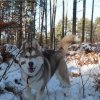 Les Liubov Sous La Neige 2010
