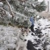 Les Liubov sous la neige