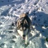 Les Liubov sous la neige en 2011