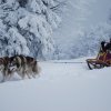 Les Liubov sous la neige en 2011