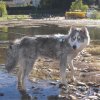 Liubov's Emmy en Vacances