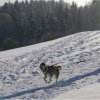 Liubov's Chivas et le KickSpark
