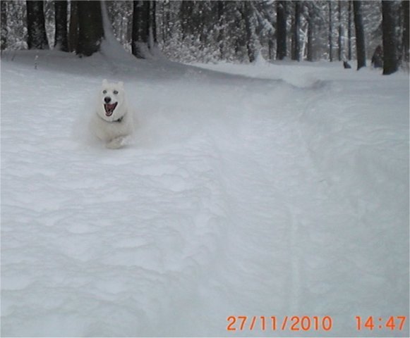 Liubov's Flocon de Neige en Russie