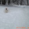 Liubov's Flocon de Neige en Russie