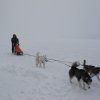 Liubov's Flocon de Neige en Russie