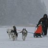 Liubov's Flocon de Neige en Russie