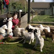 Lundi de Pâques, lâché de chiots