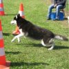 Outchka à l'entraînement