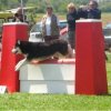 Outchka à l'entraînement