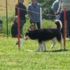 Outchka à l'entraînement