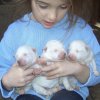 Production liubov