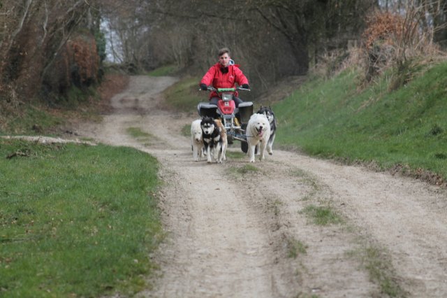 Training avec Tom