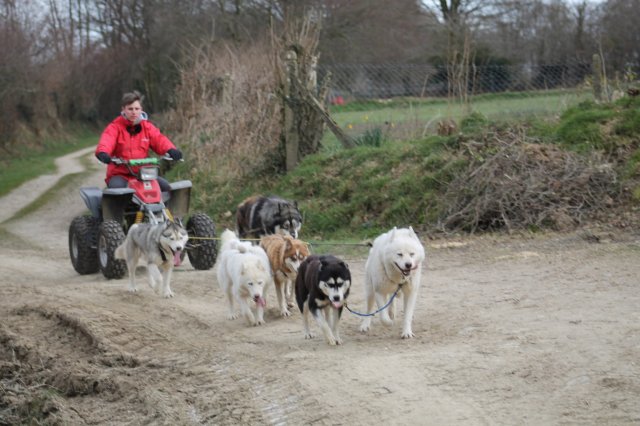 Training avec Tom