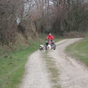 Training avec Tom