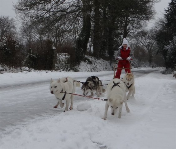 phoca thumb l 3 jadeattelage201301departb