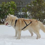 Rando - 18 Janvier 2013