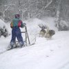 Sur les traces de son père