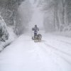 Sur les traces de son père