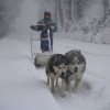 Sur les traces de son père