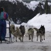 Sur les traces de son père
