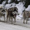 Sur les traces de son père