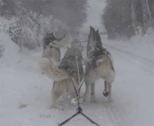 Rando - 11 mars 2013