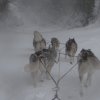 Rando - 11 mars 2013