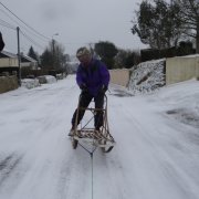 Traîneau - 29 février 2018