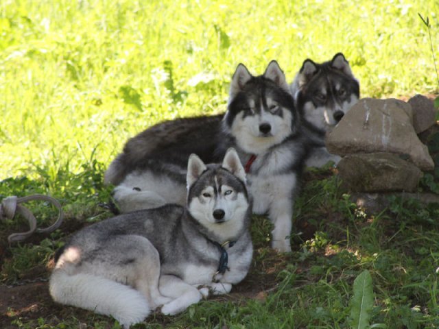 Vacances de Crypton, Polaire et Flosh - part1