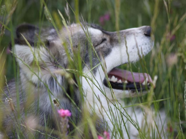 Vacances de Crypton, Polaire et Flosh - part1