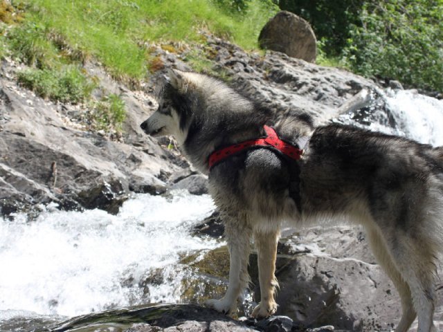 Vacances de Crypton, Polaire et Flosh - part1