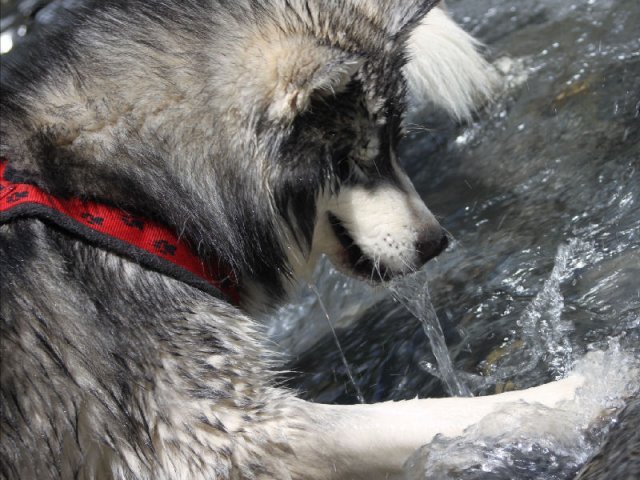 Vacances de Crypton, Polaire et Flosh - part1