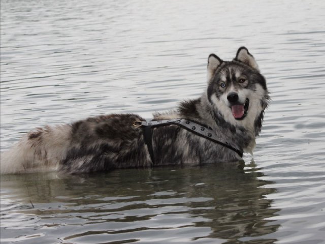 Vacances de Crypton, Polaire et Flosh - part1