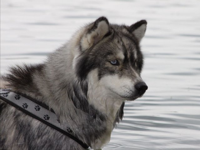 Vacances de Crypton, Polaire et Flosh - part1