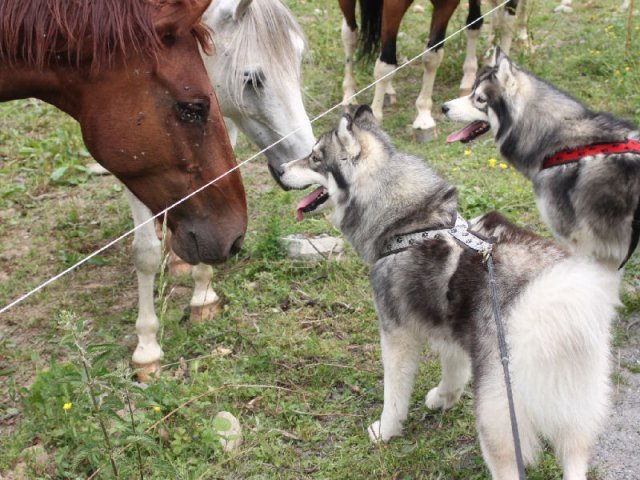 Vacances de Crypton, Polaire et Flosh - part1