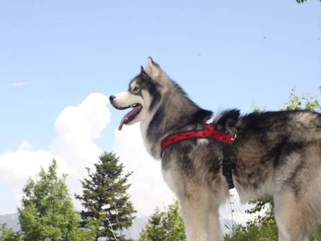 Vacances de Crypton, Polaire et Flosh - part1