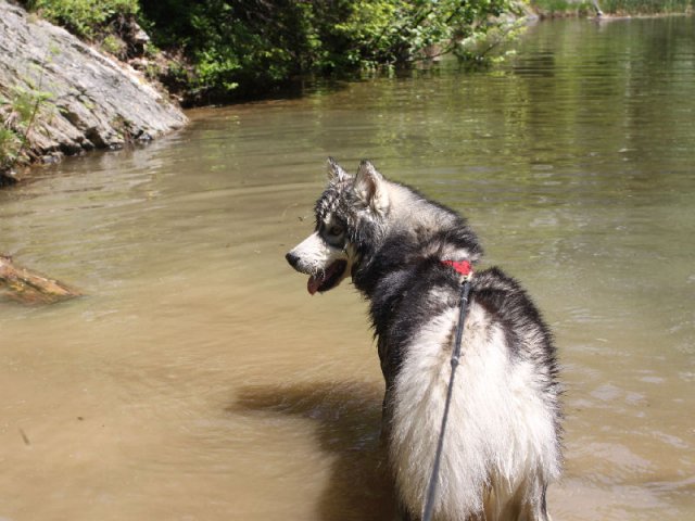 Vacances de Crypton, Polaire et Flosh - part1