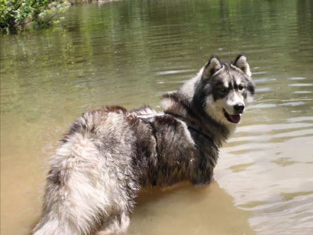 Vacances de Crypton, Polaire et Flosh - part1