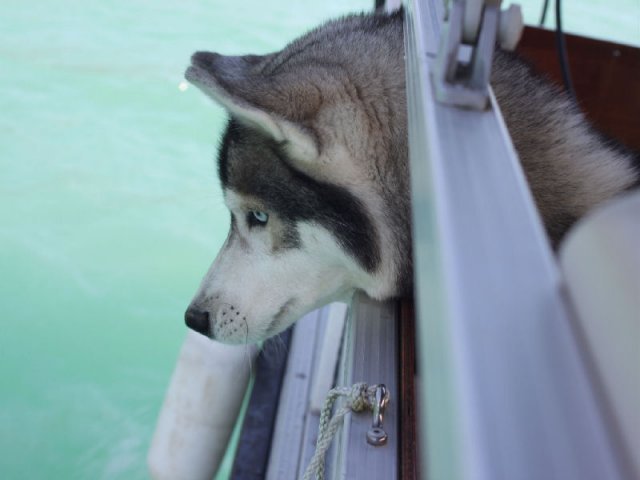 Vacances de Crypton, Polaire et Flosh - part1