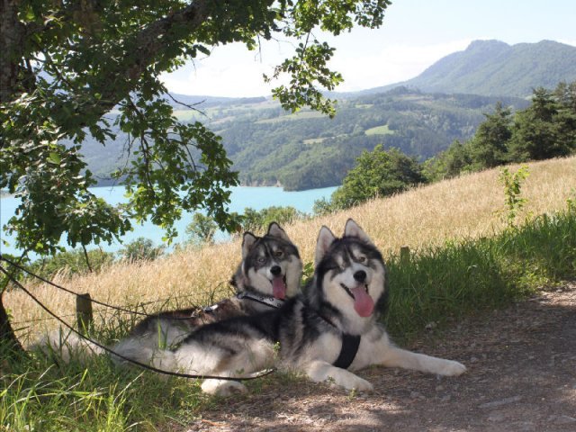 Vacances de Crypton, Polaire et Flosh - part1