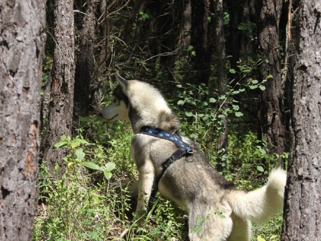 Vacances de Crypton, Polaire et Flosh - part1