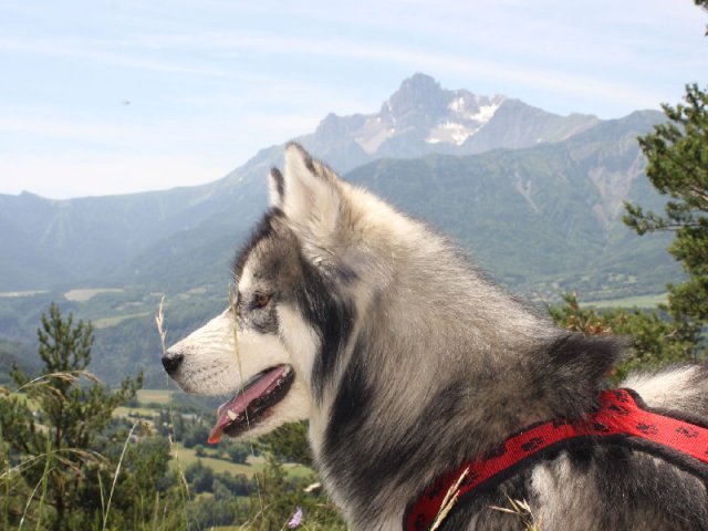 Vacances de Crypton, Polaire et Flosh - part1