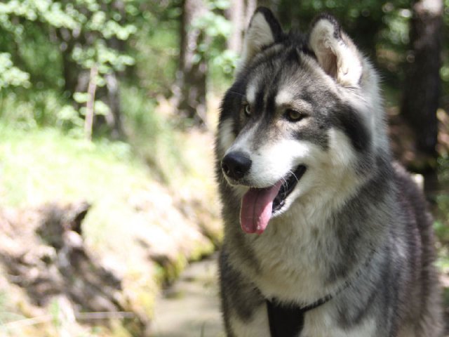 Vacances de Crypton, Polaire et Flosh - part1