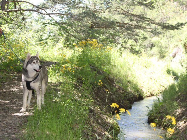 Vacances de Crypton, Polaire et Flosh - part1